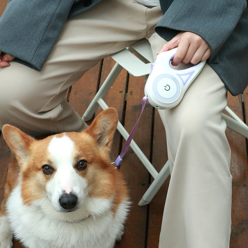 Dog Leash Retractable Collar Spotlight