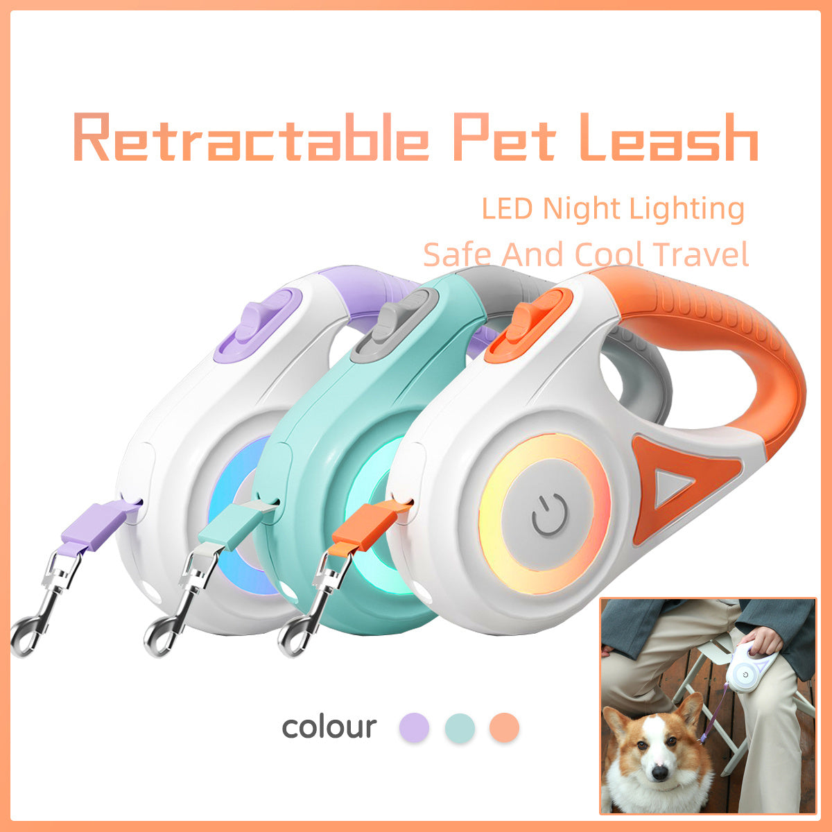 Dog Leash Retractable Collar Spotlight